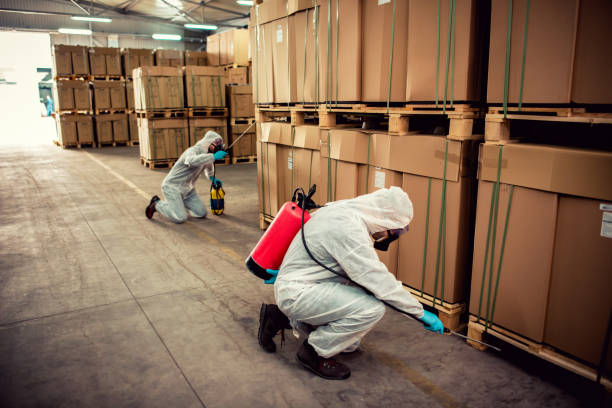 Best Residential Pest Control  in Union Gap, WA