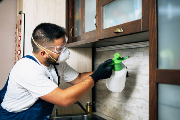 Best Pest Control Near Me  in Union Gap, WA