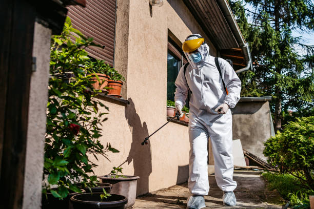 Best Pest Prevention Services  in Union Gap, WA