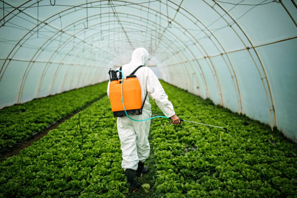 Best Bed Bug Extermination  in Union Gap, WA