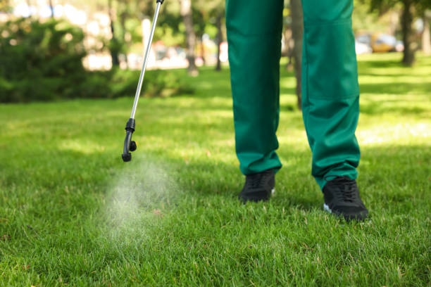 Best Ant Control Services  in Union Gap, WA