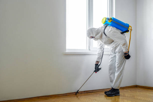 Best Local Pest Control Services  in Union Gap, WA