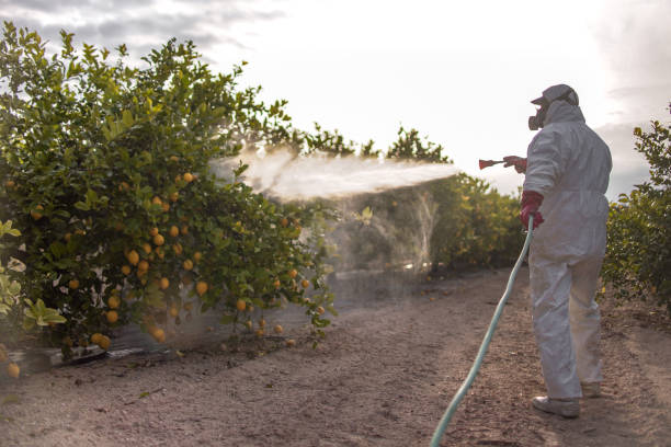 Best Commercial Pest Control Services  in Union Gap, WA