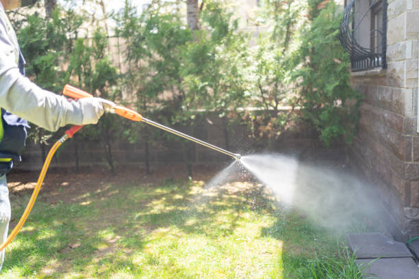 Best Pest Control for Businesses  in Union Gap, WA