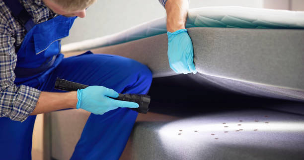 Best Termite Control Services  in Union Gap, WA