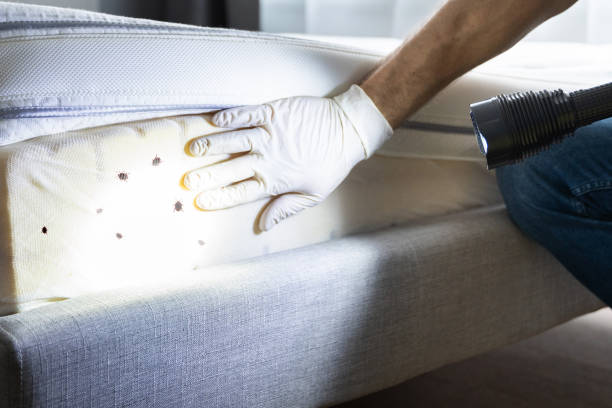 Best Emergency Pest Control  in Union Gap, WA