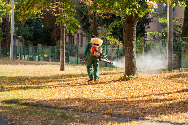 Best Exterminator Services  in Union Gap, WA