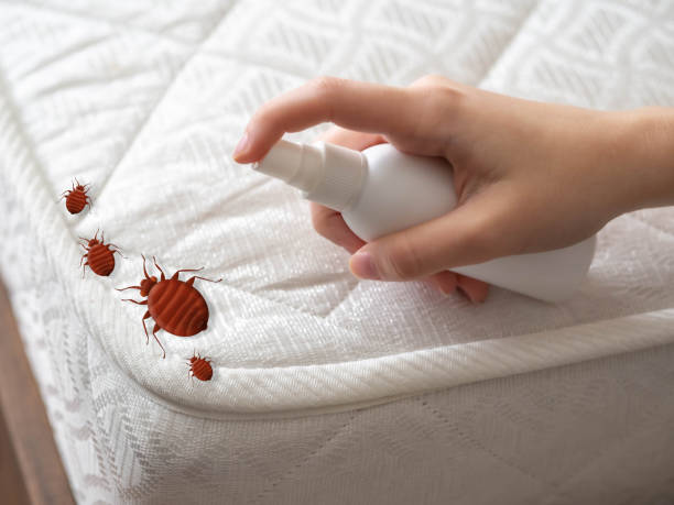 Best Pest Inspection Near Me  in Union Gap, WA