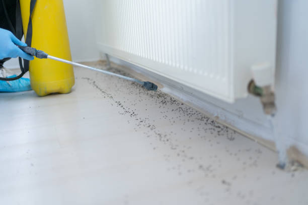 Best Pest Control for Homes  in Union Gap, WA