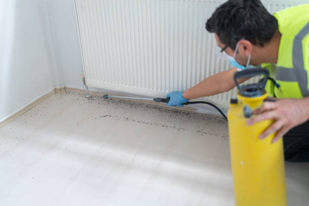 Best Commercial Pest Control Services  in Union Gap, WA