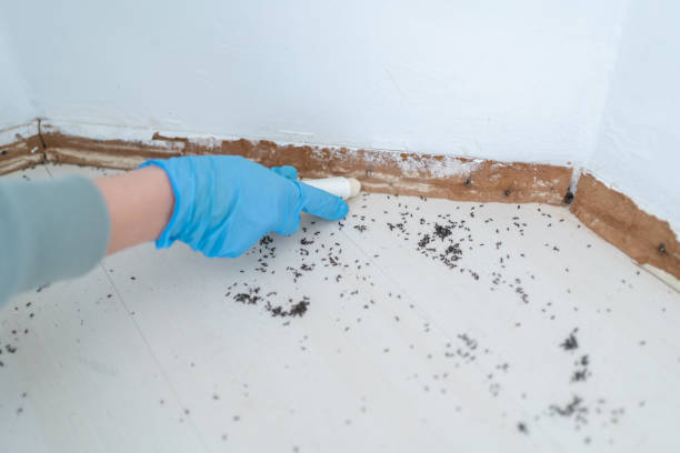 Best Pest Removal Services  in Union Gap, WA