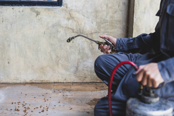 Best Mosquito Control Services  in Union Gap, WA